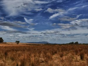 Preview wallpaper field, steppe, sky, clouds, nature