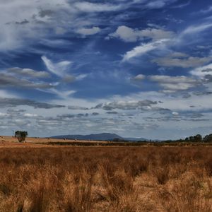 Preview wallpaper field, steppe, sky, clouds, nature