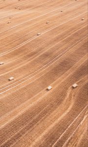Preview wallpaper field, stripes, lines, dry