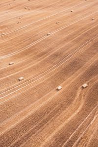 Preview wallpaper field, stripes, lines, dry