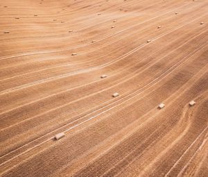 Preview wallpaper field, stripes, lines, dry