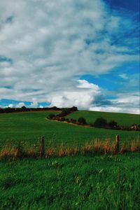 Preview wallpaper field, summer, grass, sky, clouds