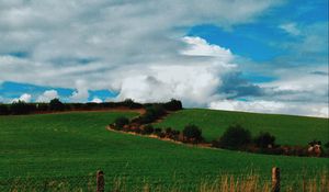 Preview wallpaper field, summer, grass, sky, clouds