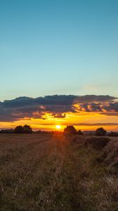 Preview wallpaper field, sunset, grass, trees