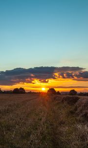 Preview wallpaper field, sunset, grass, trees