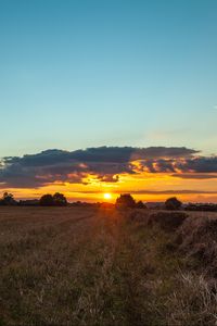 Preview wallpaper field, sunset, grass, trees