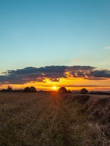 Preview wallpaper field, sunset, grass, trees