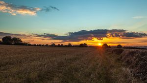 Preview wallpaper field, sunset, grass, trees