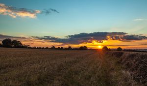 Preview wallpaper field, sunset, grass, trees