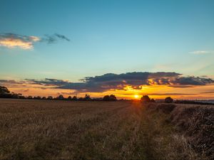 Preview wallpaper field, sunset, grass, trees