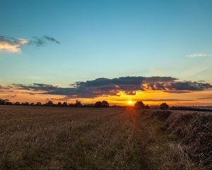 Preview wallpaper field, sunset, grass, trees