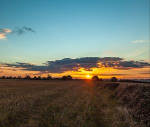 Preview wallpaper field, sunset, grass, trees