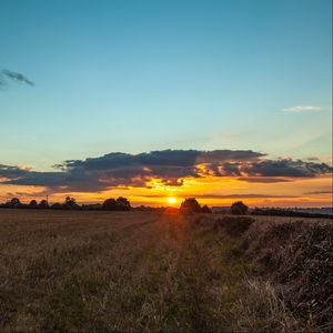 Preview wallpaper field, sunset, grass, trees