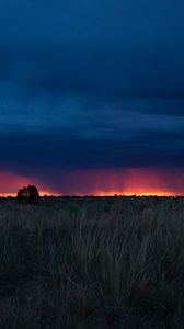 Preview wallpaper field, sunset, grass, clouds