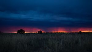 Preview wallpaper field, sunset, grass, clouds