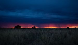 Preview wallpaper field, sunset, grass, clouds