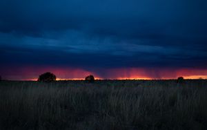 Preview wallpaper field, sunset, grass, clouds