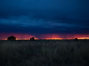 Preview wallpaper field, sunset, grass, clouds