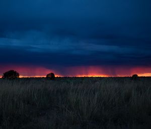 Preview wallpaper field, sunset, grass, clouds