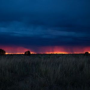 Preview wallpaper field, sunset, grass, clouds