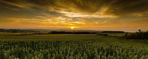 Preview wallpaper field, sunset, nature, dusk, evening