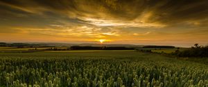 Preview wallpaper field, sunset, nature, dusk, evening