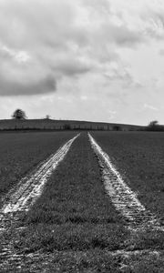 Preview wallpaper field, trace, stripes, black and white