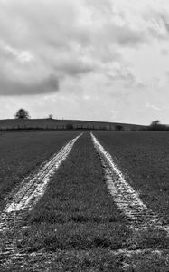 Preview wallpaper field, trace, stripes, black and white