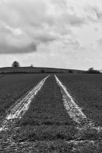 Preview wallpaper field, trace, stripes, black and white