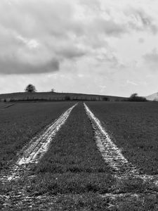 Preview wallpaper field, trace, stripes, black and white