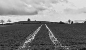 Preview wallpaper field, trace, stripes, black and white