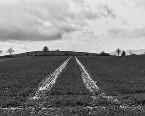 Preview wallpaper field, trace, stripes, black and white