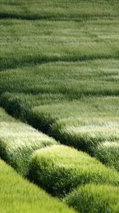 Preview wallpaper field, traces, grass, slope