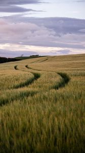 Preview wallpaper field, trail, hills, landscape