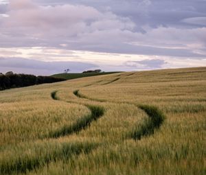 Preview wallpaper field, trail, hills, landscape