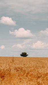 Preview wallpaper field, tree, clouds, summer, landscape