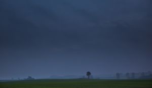 Preview wallpaper field, tree, fog, landscape