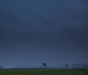 Preview wallpaper field, tree, fog, landscape
