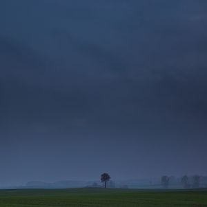 Preview wallpaper field, tree, fog, landscape