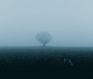 Preview wallpaper field, tree, fog, nature