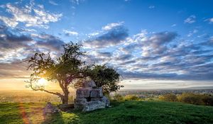 Preview wallpaper field, tree, landscape, grass