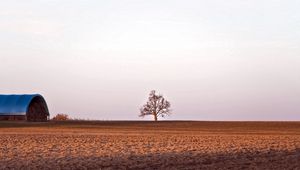 Preview wallpaper field, tree, mow, barn