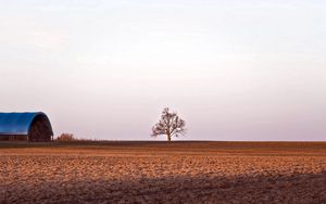 Preview wallpaper field, tree, mow, barn