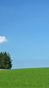 Preview wallpaper field, trees, cloud, summer