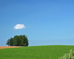 Preview wallpaper field, trees, cloud, summer