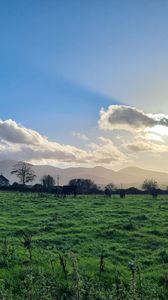 Preview wallpaper field, trees, clouds, mountains, landscape