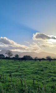 Preview wallpaper field, trees, clouds, mountains, landscape