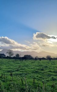 Preview wallpaper field, trees, clouds, mountains, landscape