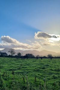 Preview wallpaper field, trees, clouds, mountains, landscape