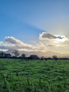 Preview wallpaper field, trees, clouds, mountains, landscape